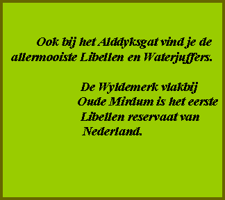 Tekstvak:        Ook bij het Alddyksgat vind je de                     allermooiste Libellen en Waterjuffers.                De Wyldemerk vlakbij                       Oude Mirdum is het eerste                 Libellen reservaat van      Nederland.