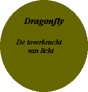 Ovaal: DragonflyDe toverkracht       van licht